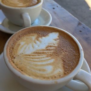 Meet your Posher, Brynn